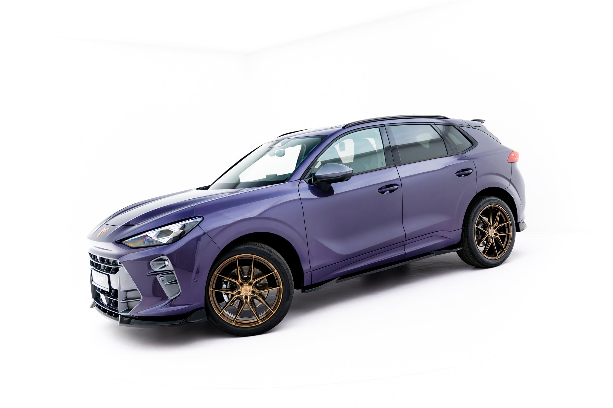 Seitenschweller Ansatz für Cupra Terramar Mk1